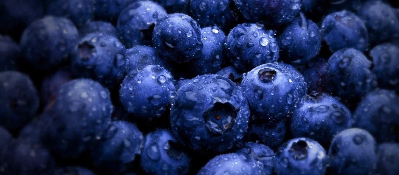 Το «θαυματουργό» μύρτιλο